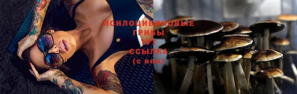 дурь Медногорск