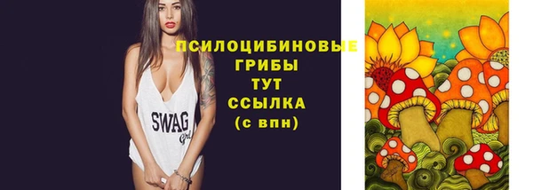 Альфа ПВП Мегион