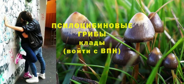 Альфа ПВП Мегион