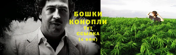 Альфа ПВП Мегион
