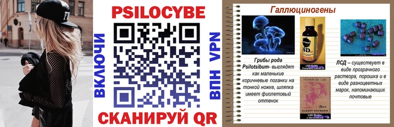 Псилоцибиновые грибы Psilocybine cubensis  Серпухов 