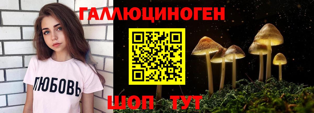 Псилоцибиновые грибы GOLDEN TEACHER  Вход с VPN  Серпухов  Галлюциногенные грибы мицелий 